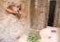 Salle de bain modern